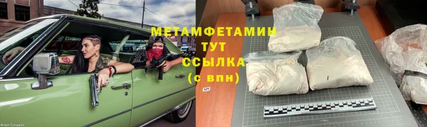 молекула духа Тайга